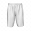 Basketball Shorts Panelled Front View	